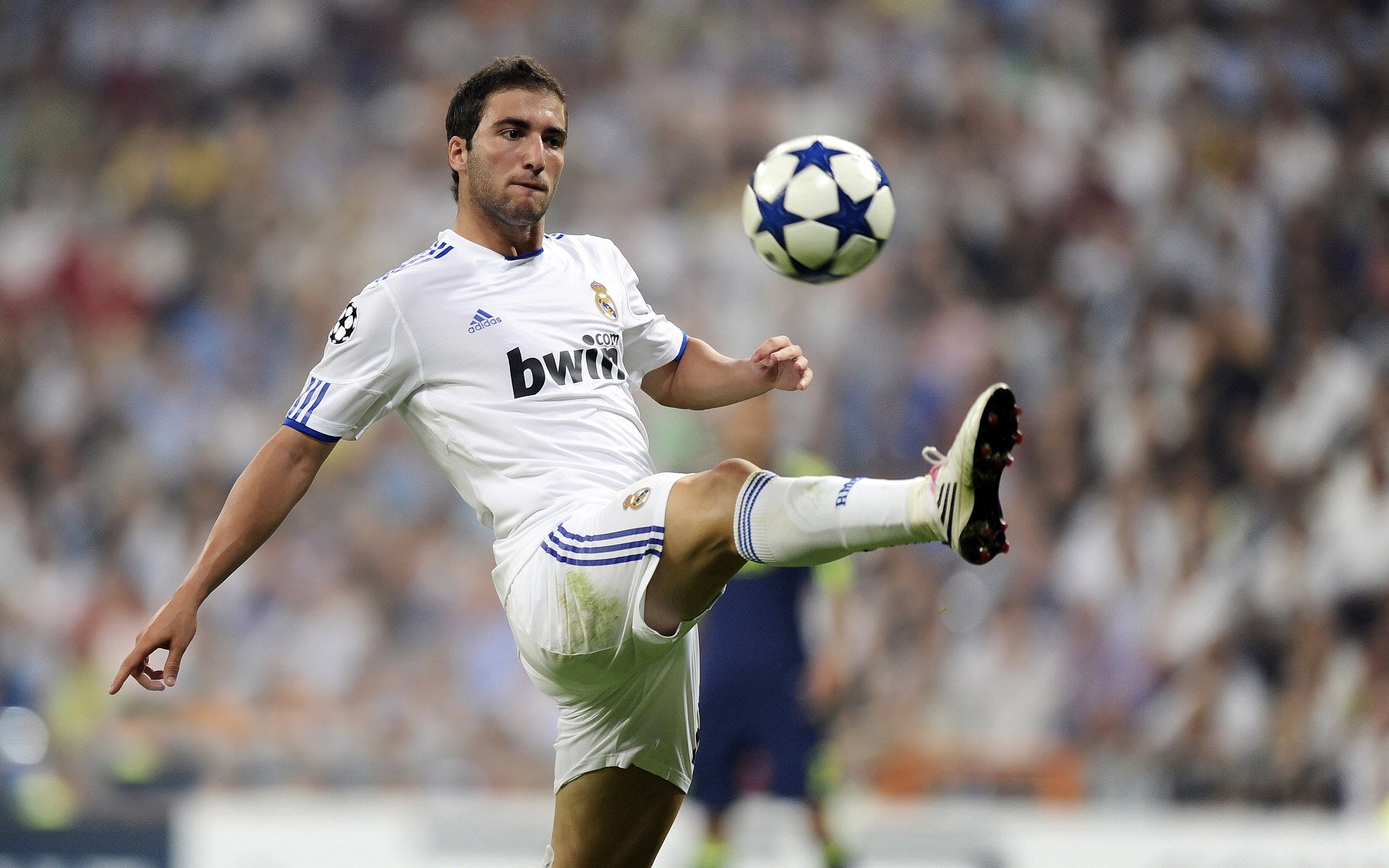 中国女排一战封神震惊全场女排世界杯，中国女排第一局比分